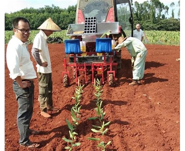 兩行煙草移栽機